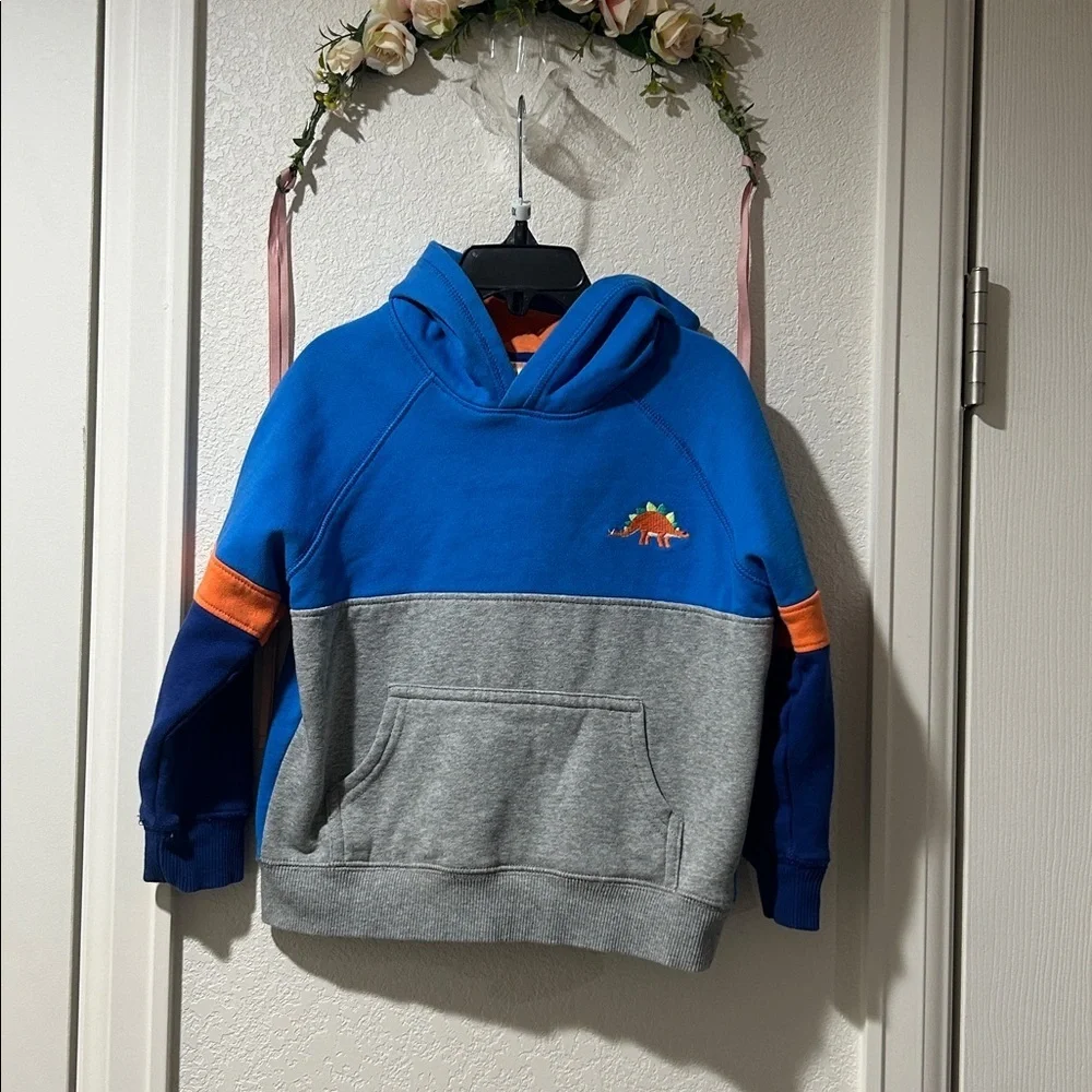Gymboree Boys Dino Colorblock Fleece Hoodie - Dino Friends